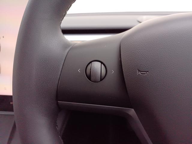 モデル3 スタンダードプラス ワンオーナー オートパイロット 黒レザーシート シートヒーター パワーシート 電動リアゲート サイドバックカメラ ステアリングヒーター パノラマガラスルーフ ETC(25枚目)