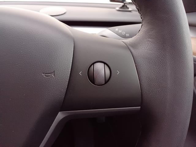 モデル3 スタンダードプラス ワンオーナー オートパイロット 黒レザーシート シートヒーター パワーシート 電動リアゲート サイドバックカメラ ステアリングヒーター パノラマガラスルーフ ETC(27枚目)