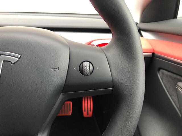 モデル3 スタンダードレンジプラス オートパイロット パノラマガラスルーフ バックサイドカメラ 黒革パワーシート シートヒーター 電動リアゲート ETC(23枚目)