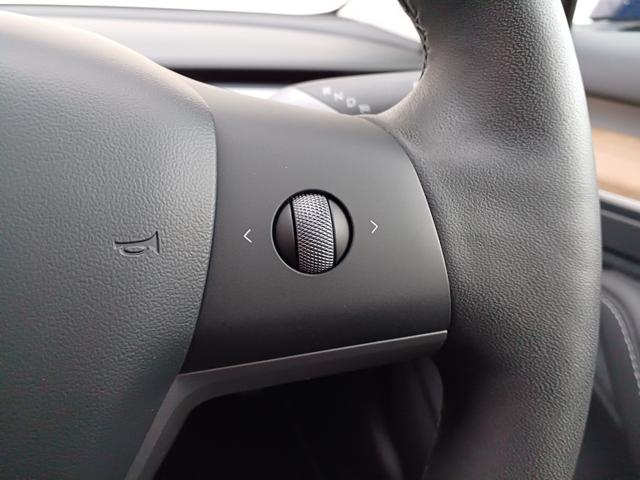 モデル３ スタンダードレンジプラス　ワンオーナー　オートパイロット　ナビ　パノラマガラスルーフ　黒レザーパワーシート　シートヒーター　ハンドルヒーター　電動リアゲート　バックサイドカメラ　障害物センサー　ＥＴＣ（28枚目）