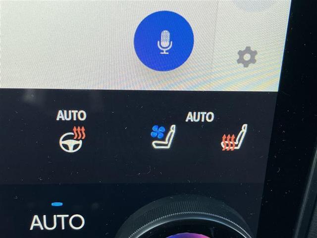 アルファードハイブリッド エグゼクティブラウンジ 全周囲 黒革シート シートエアコン クルコン LEDヘッドライト ワンオーナー車 オートマチックハイビーム クリアランスソナー ETC2.0 ガラスルーフ スマートキー 両側電動スライドドア 記録簿(12枚目)
