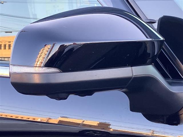 アルファードハイブリッド エグゼクティブラウンジ 全周囲 黒革シート シートエアコン クルコン LEDヘッドライト ワンオーナー車 オートマチックハイビーム クリアランスソナー ETC2.0 ガラスルーフ スマートキー 両側電動スライドドア 記録簿(33枚目)