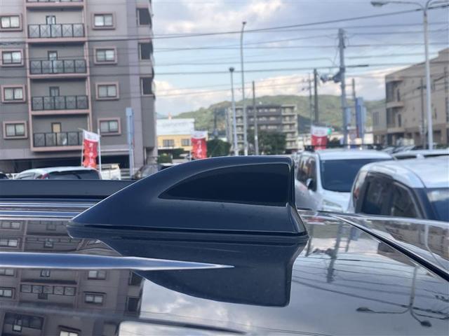 ＲＡＶ４ ハイブリッドＧ　衝突被害軽減装置　バックモニター　ＬＥＤヘッドライト　ＡＷＤ　パワステ　ＡＡＣ　ナビ　カーテンエアバック　エアバッグ　ＡＷ　パワーウィンドウ　ＡＢＳ（16枚目）