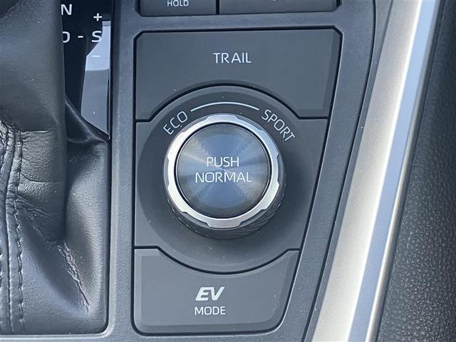 ＲＡＶ４ ハイブリッドＧ　衝突被害軽減装置　バックモニター　ＬＥＤヘッドライト　ＡＷＤ　パワステ　ＡＡＣ　ナビ　カーテンエアバック　エアバッグ　ＡＷ　パワーウィンドウ　ＡＢＳ（23枚目）