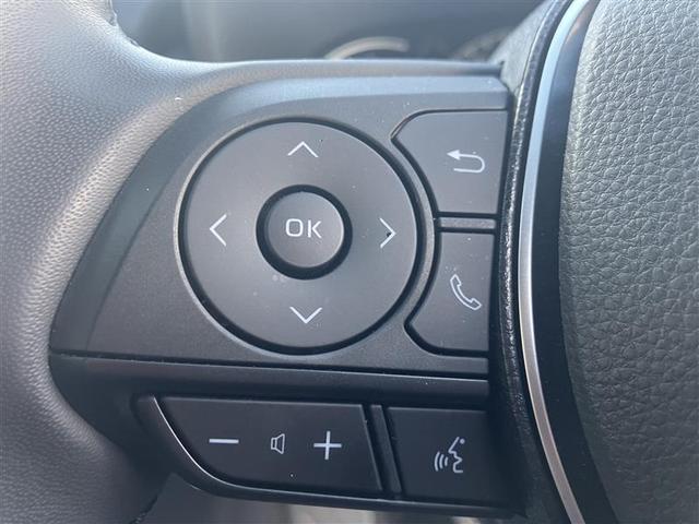 ＲＡＶ４ ハイブリッドＧ　衝突被害軽減装置　バックモニター　ＬＥＤヘッドライト　ＡＷＤ　パワステ　ＡＡＣ　ナビ　カーテンエアバック　エアバッグ　ＡＷ　パワーウィンドウ　ＡＢＳ（28枚目）