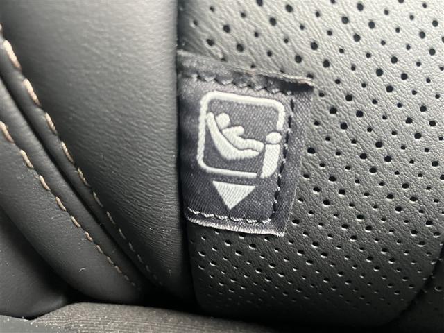 ヴェルファイアハイブリッド Ｚ　プレミア　衝突被害軽減ブレーキ　Ｂモニター　ダブルエアコン　ムーンＲ　フルセグ地デジＴＶ　両側Ｐスライドドア　記録簿　エアバッグ　電動シート　ＬＥＤライト　本革シート　ＴＶ　アルミホイール　ＥＴＣ（30枚目）