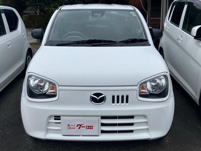 �l�C�̎��q�����ɂ��܂����I