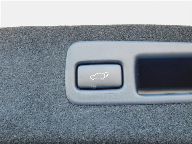 ハリアー プレミアム　エアロ付　カーテンエアバッグ　クルーズＣ　Ｂカメラ　電動パワーシート　ＬＥＤライト　メモリナビ　横滑り防止機能　オートエアコン　Ａストップ　エアバッグ　ＡＷ　ＤＶＤ再生可　パワーウィンドウ　ナビ＆ＴＶ（12枚目）