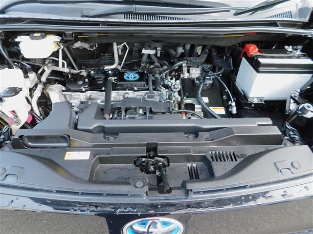 �P�D�W�k�G���W���{�n�C�u���b�h�V�X�e��