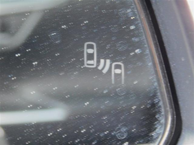 �u���C���h�X�|�b�g���j�^�[