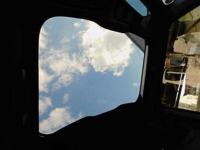 �J���I�ȃX�J�C�t�B�[���g�b�v