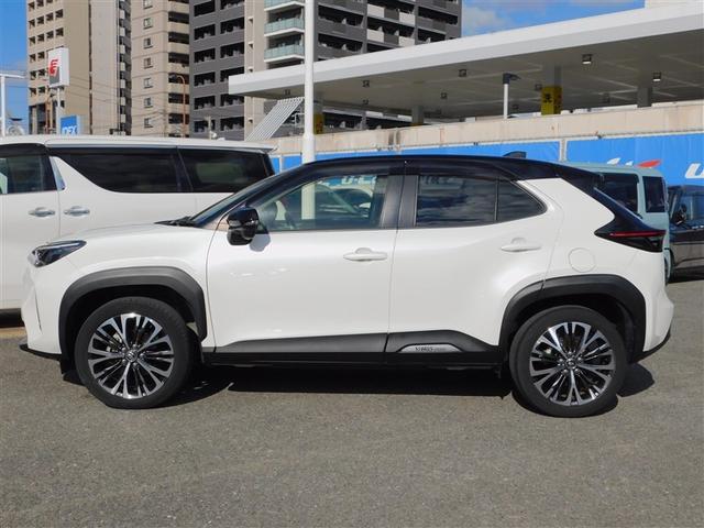 �l�C�̃c�[�g�[�����[�t