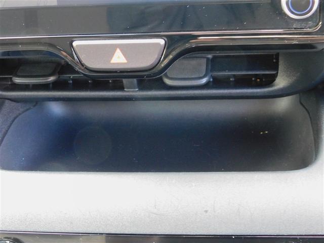 �Z���^�[�I�[�v���g���C