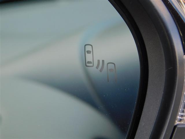 �u���C���h�X�|�b�g���j�^�[