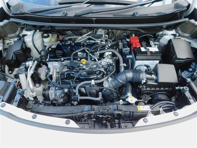 �P�D�T�k�_�C�i�~�b�N�t�H�[�X�G���W��