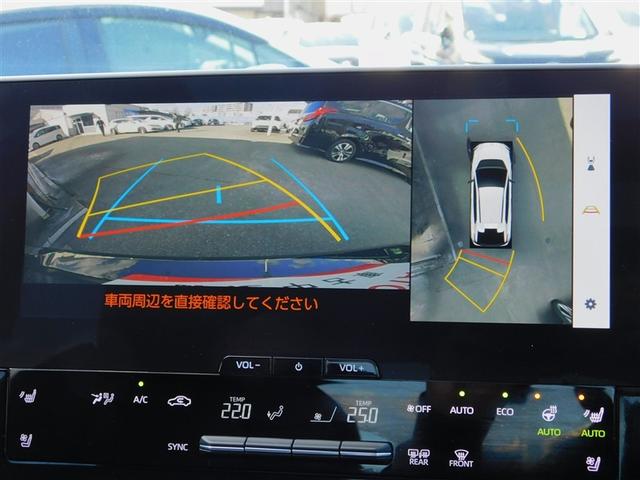 �p�m���}�~�b�N�r���[���j�^�[