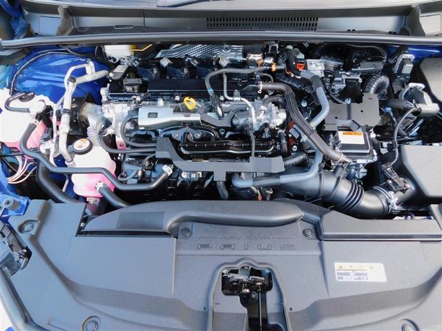 �P�D�W�k�G���W���{�n�C�u���b�h�V�X�e��