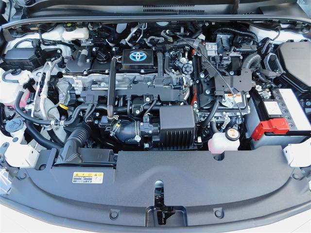 �P�D�W�k�G���W���{�n�C�u���b�h�V�X�e��