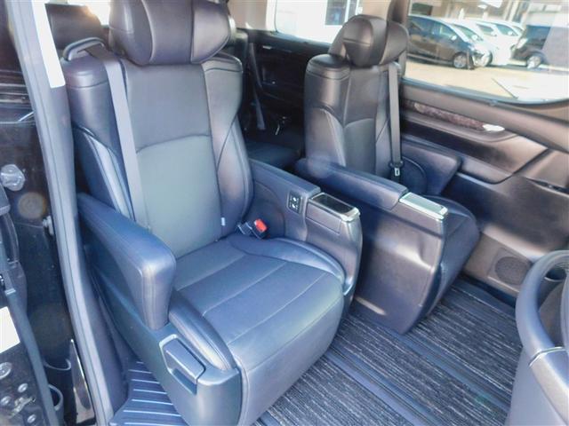 �G�O�[�N�e�B�u�p���[�V�[�g