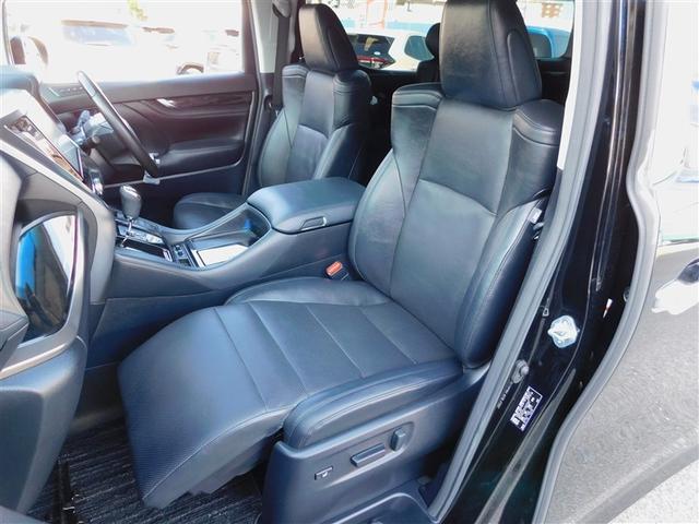 �I�b�g�}���t���d���V�[�g