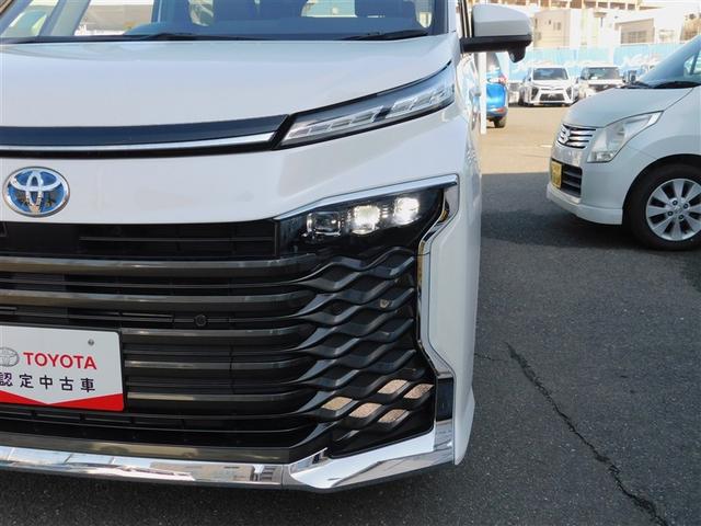 �v���W�F�N�^�[���k�d�c�w�b�h�����v�ɂk�d�c���铔