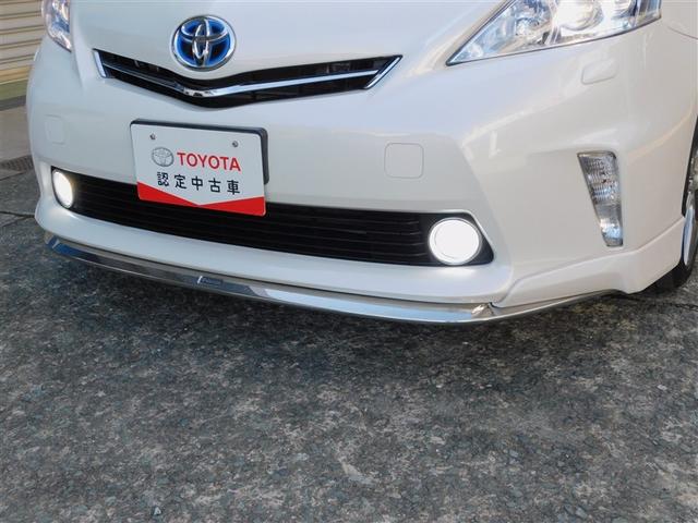 ���f���X�^�t�����g�X�|�C���[