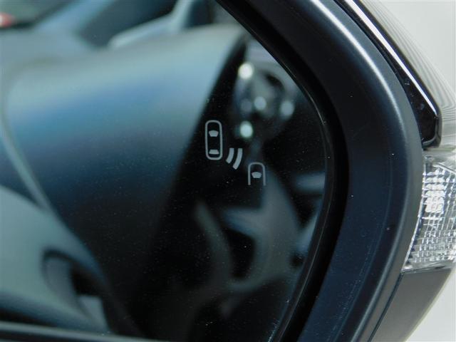 �u���C���h�X�|�b�g���j�^�[