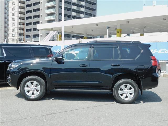 ��n���삯������_�C�i�~�b�N�ȃt�H����