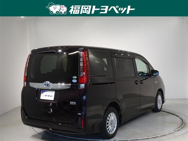 �F�͂��ꂢ�ȃ{���h�[�}�C�J���^���b�N�ł��B