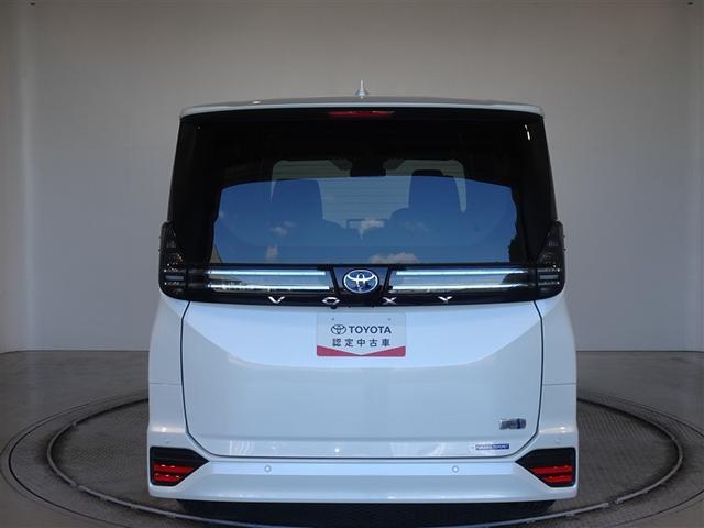 �c�J���̃o�b�N�h�A�ł��A�J�̓����G��ɂ����ł���B