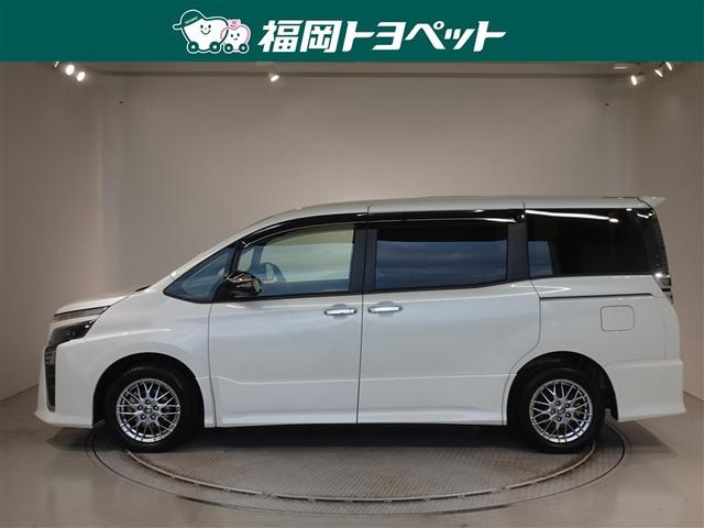 �g���^�̂V�l�̂�~�j�o���A���H�N�V�[�n�C�u���b�h�@�y�r�@�L�����L�R�����ׂ��܂����B