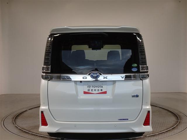 �c�J���̃o�b�N�h�A�ł��A�J�̓����G��ɂ����ł���B