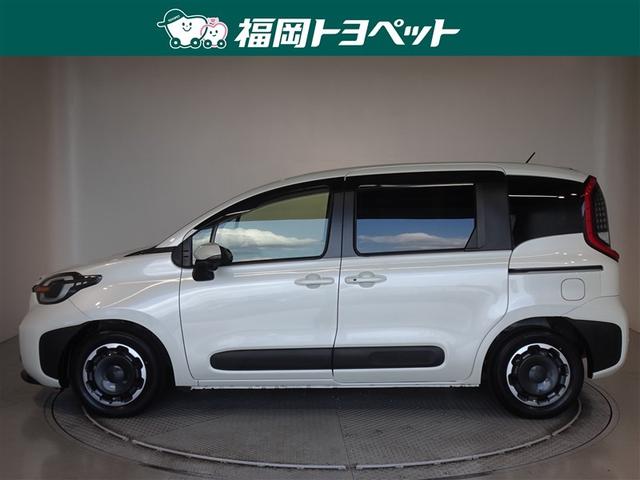 ���s�^�̃V�G���^�@�y�����ׂ��܂����B