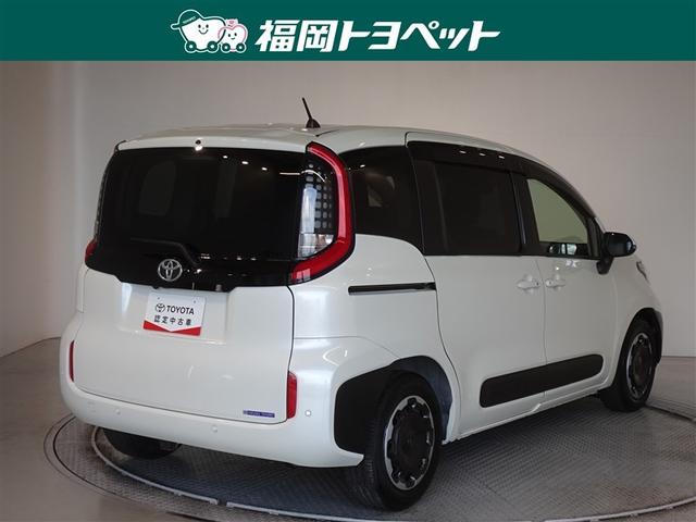 �F�͐l�C�̃z���C�g�p�[���N���X�^���V���C���ł��B