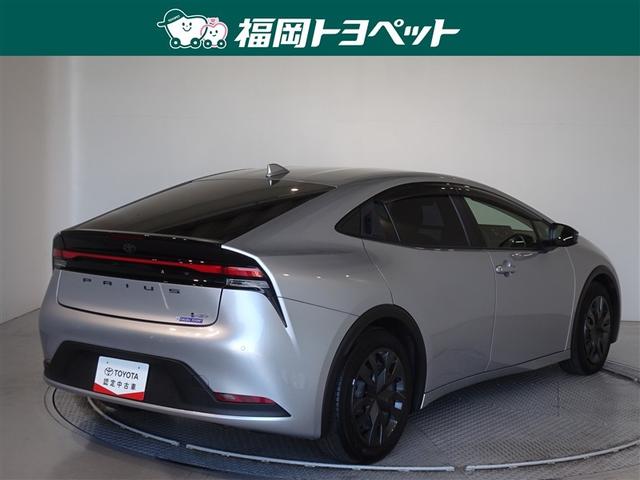 �F�͐����ȃV���o�[���^���b�N�ł��B