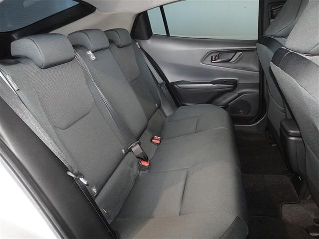 �l�̐G���V�[�g�͔O����ɐ��|�E���L�����{���Ă���܂��B