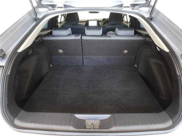 �T�l��Ԏ��ł��\���ȃX�y�[�X�̃g�����N���[���ł��B