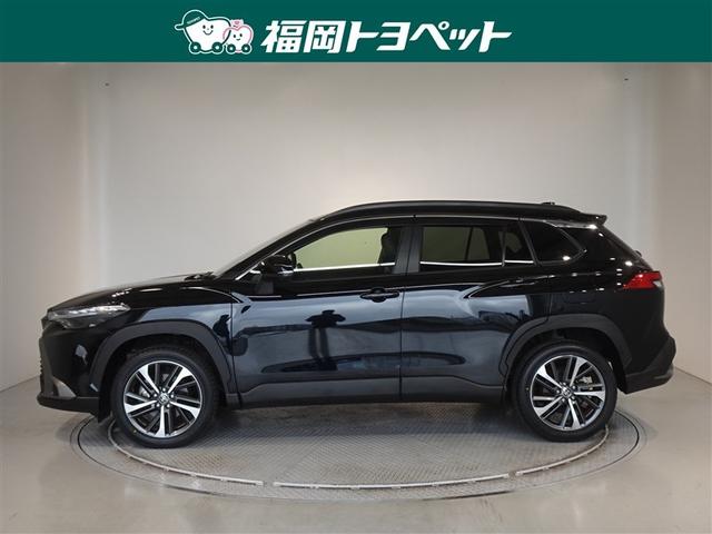 �J���[���̂r�t�u�d�l�A�J���[���N���X�n�C�u���b�h�@�y�����ׂ��܂����B