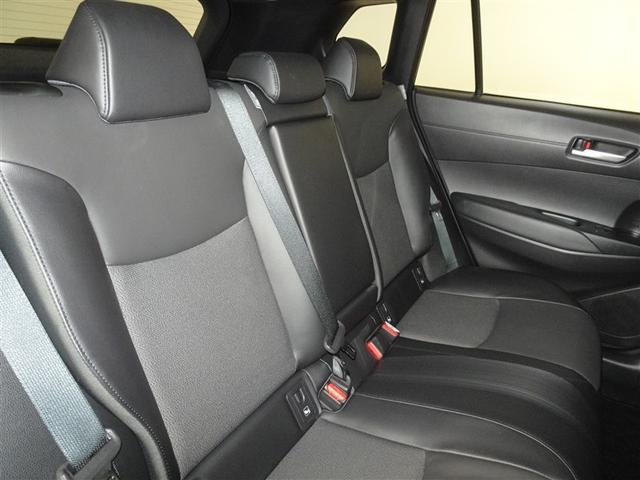 �l�̐G���V�[�g�͔O����ɐ��|�E���L�����{���Ă���܂��B