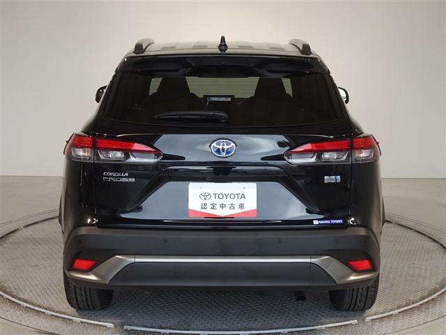 �c�J���̃o�b�N�h�A�ł��A�J�̓����G��ɂ����ł���B