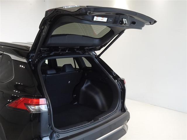 �o�b�N�h�A���J������Ԃł��B