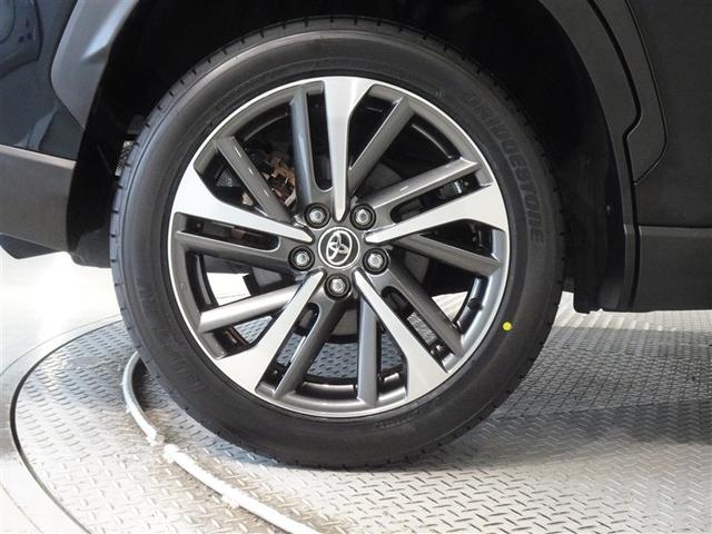 �������Ƒ����������������A�����A���~�𑕔����Ă��܂��B