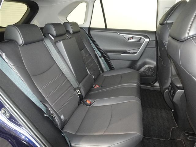 �l�̐G���V�[�g�͔O����ɐ��|�A���L�����{���Ă���܂��B