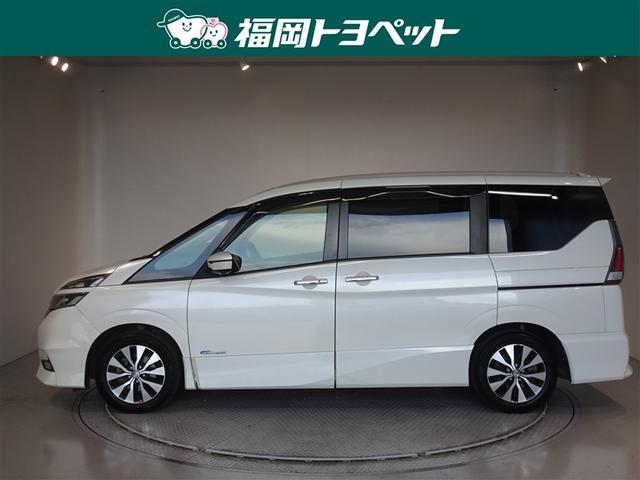 ���Y�̐l�C�~�j�o���@�Z���i�@�n�C�E�F�C�X�^�[�����ׂ��܂����B