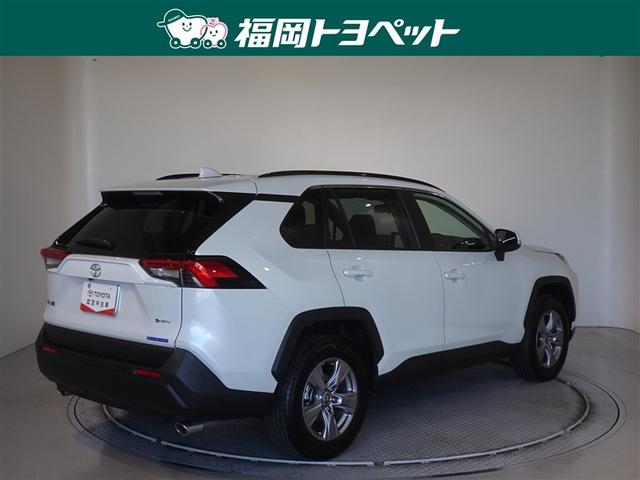 �F�͐l�C�̃v���`�i�z���C�g�p�[���}�C�J�ł��B