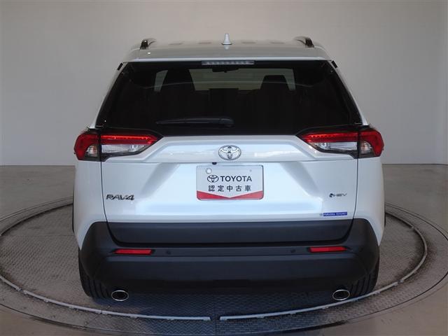 �c�J���̃o�b�N�h�A�ł��A�J�̓����G��ɂ����ł���B