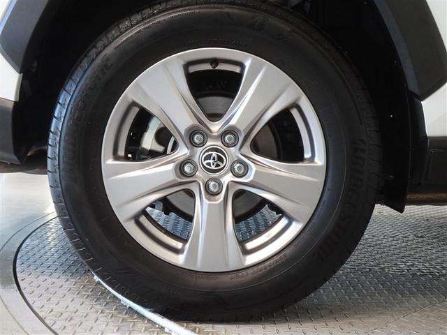 �������Ƒ����������������A�����A���~�𑕔����Ă��܂��B