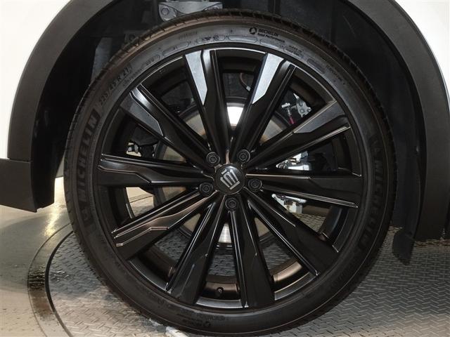 �������Ƒ����������������A�����A���~�𑕔����Ă��܂��B