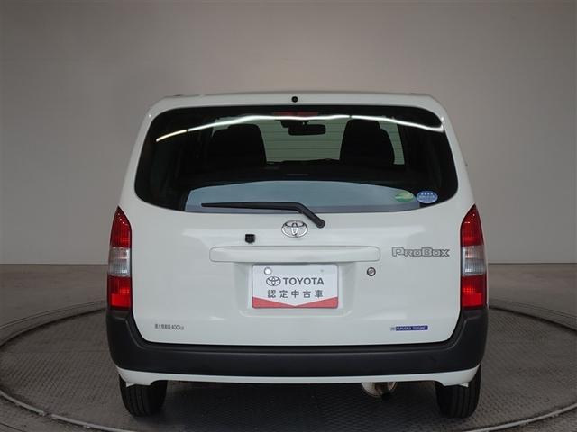 �c�J���̃o�b�N�h�A�ł��A�J�̓����G��ɂ����ł���B