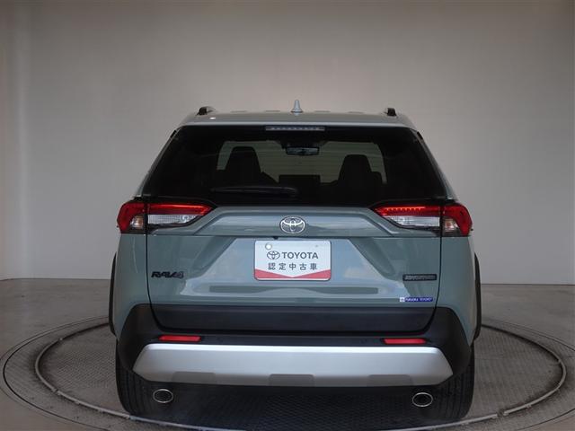 �c�J���̃o�b�N�h�A�ł��A�J�̓����G��ɂ����ł���B